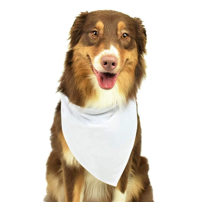 Bandana Blank White - 30 stuks witte polyester blanco hondenbandana's